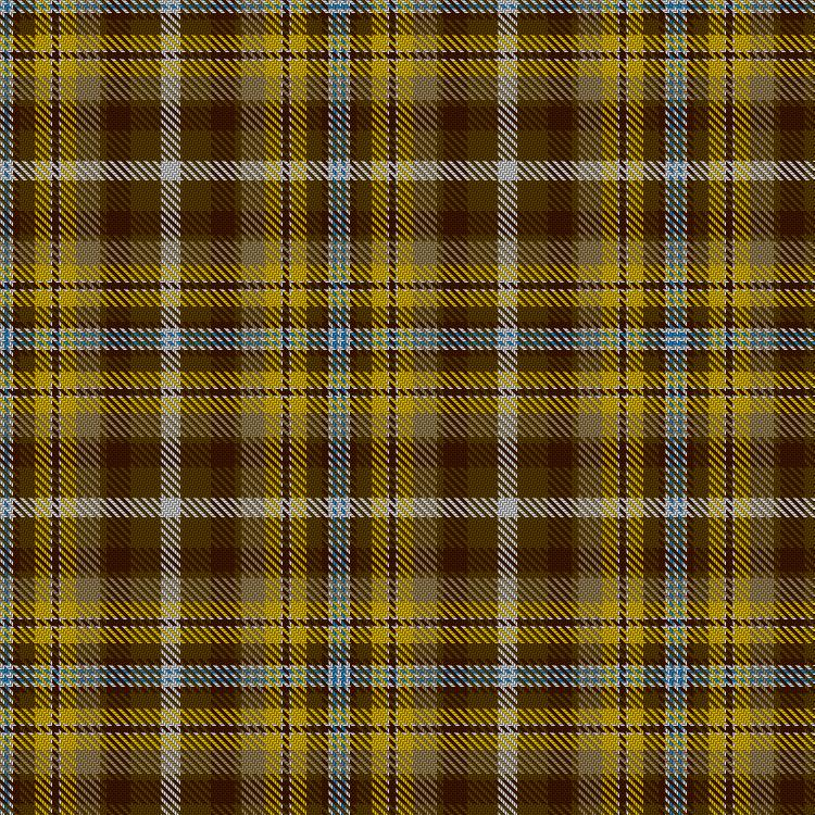 Tartan image: Bonnie Prince Charlie (Hudson Bay). Click on this image to see a more detailed version.