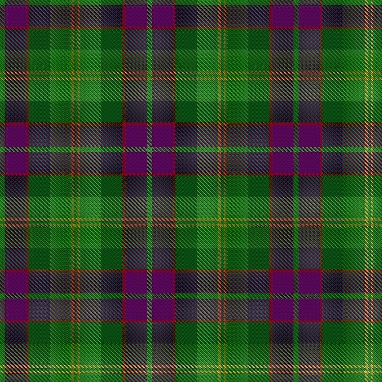 Tartan image: New Mexico: Land of Enchantment. Click on this image to see a more detailed version.
