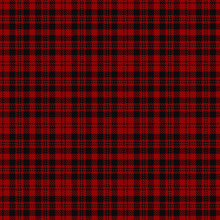 Tartan image: Border Reiver, The. Click on this image to see a more detailed version.