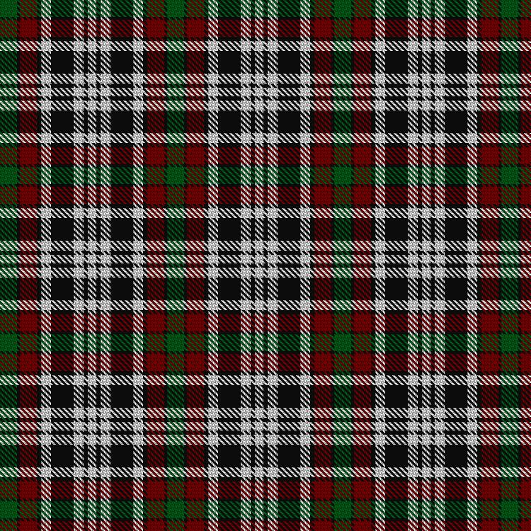 Tartan image: Borthwick Dress. Click on this image to see a more detailed version.