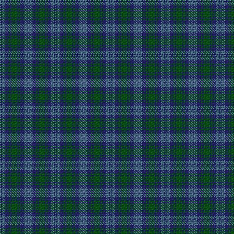 Tartan image: Norwich No.017. Click on this image to see a more detailed version.