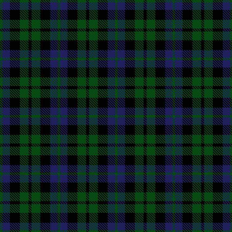 Tartan image: Norwich No.064. Click on this image to see a more detailed version.