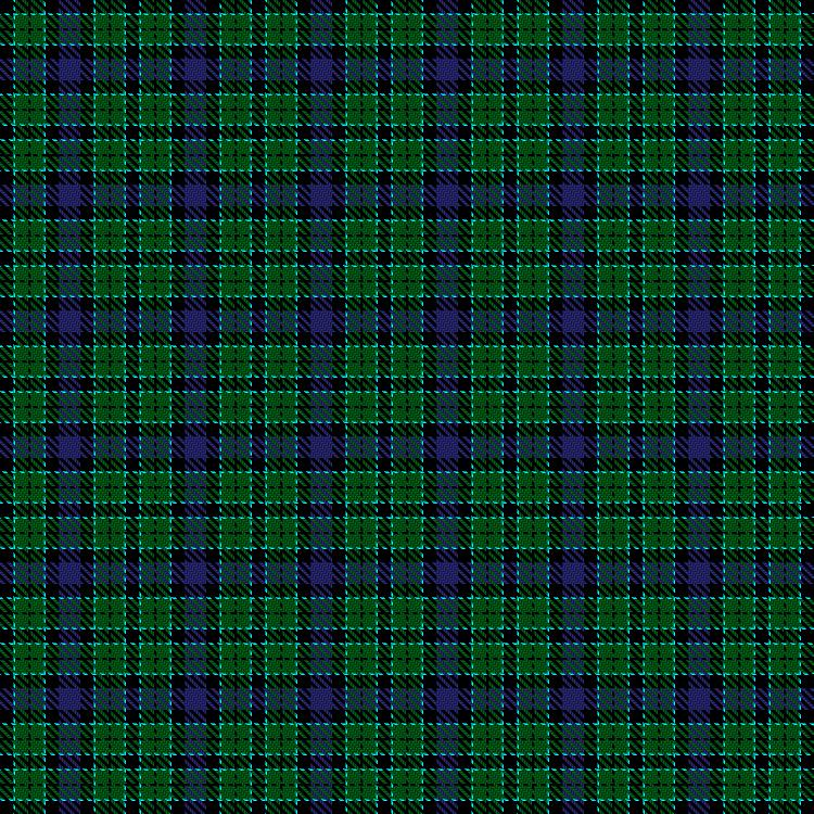 Tartan image: Norwich No.115. Click on this image to see a more detailed version.