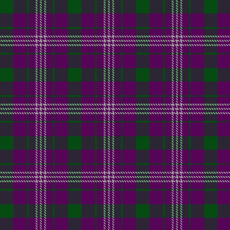 Tartan image: O'Long (Personal). Click on this image to see a more detailed version.