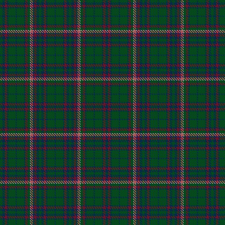 Tartan image: Otago Peninsula. Click on this image to see a more detailed version.