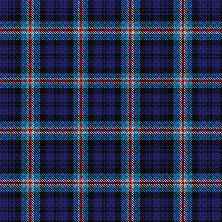 Tartan image: Palatine Union (Personal). Click on this image to see a more detailed version.