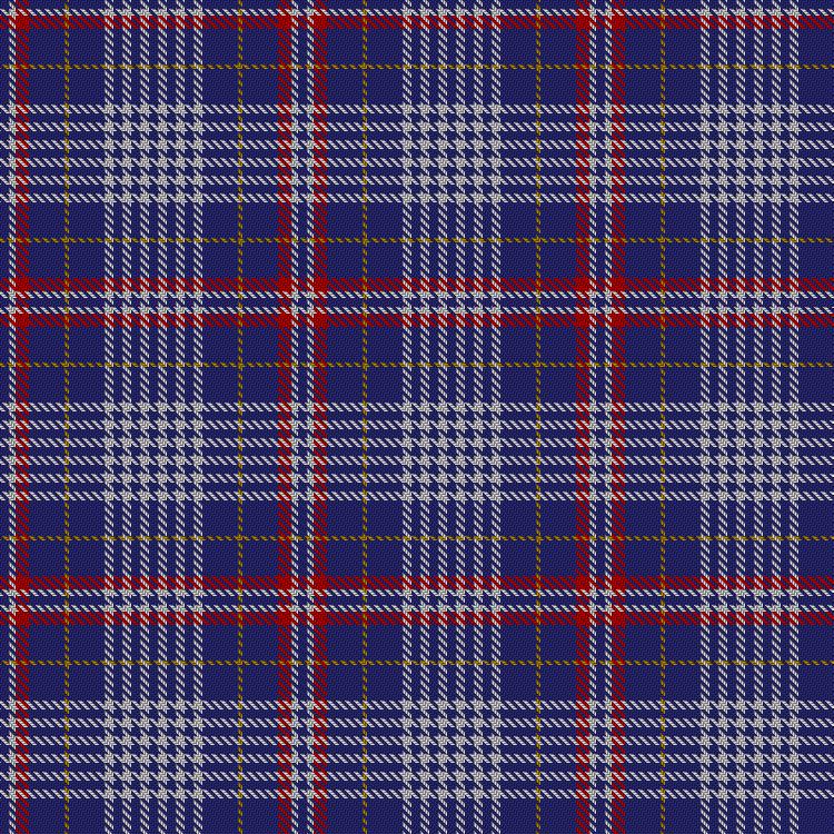 Tartan image: Parker Dress (USA). Click on this image to see a more detailed version.