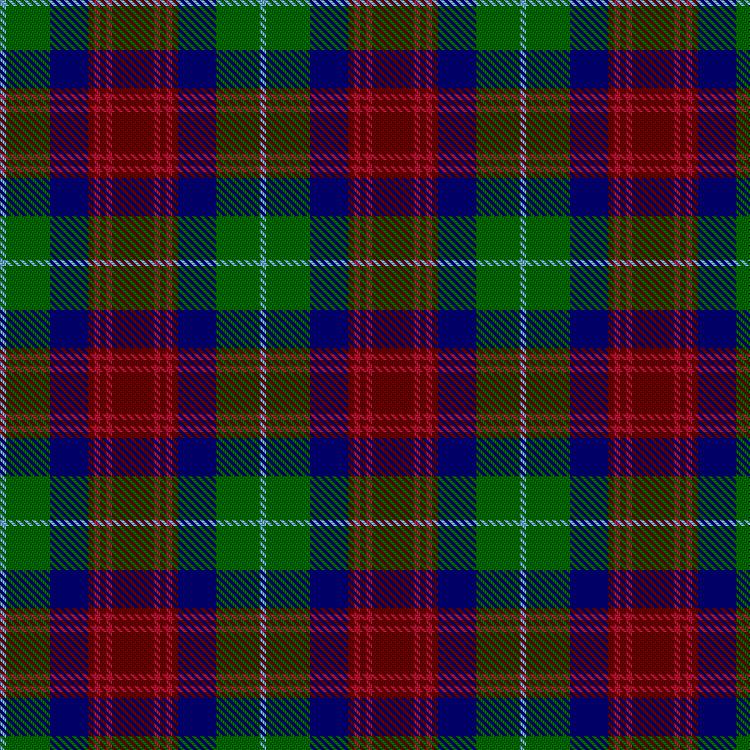 Tartan image: Akins Clan (Personal). Click on this image to see a more detailed version.