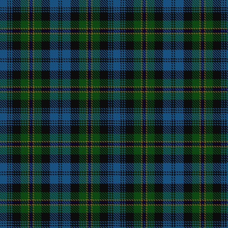 Tartan image: Polaris Military. Click on this image to see a more detailed version.