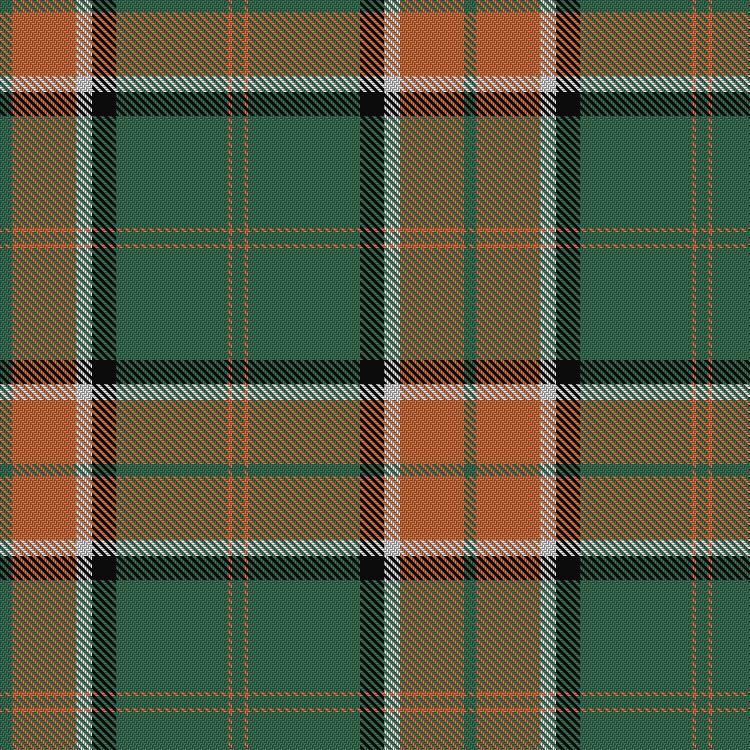 Tartan image: Pollock. Click on this image to see a more detailed version.