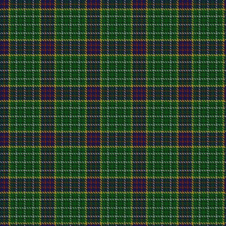 Tartan image: Presbyterian Synod of Living Waters (USA). Click on this image to see a more detailed version.