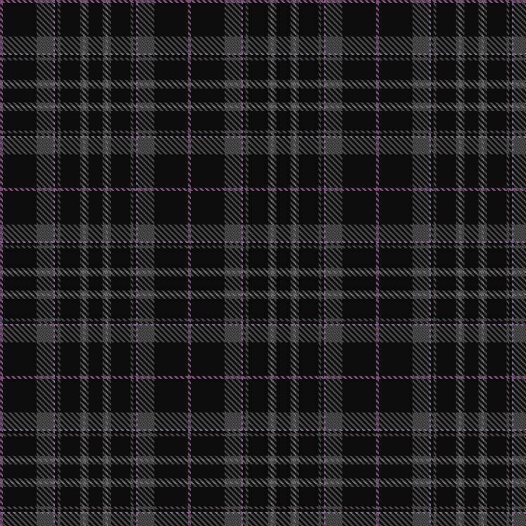 Tartan image: Pride of Scotland Platinum. Click on this image to see a more detailed version.