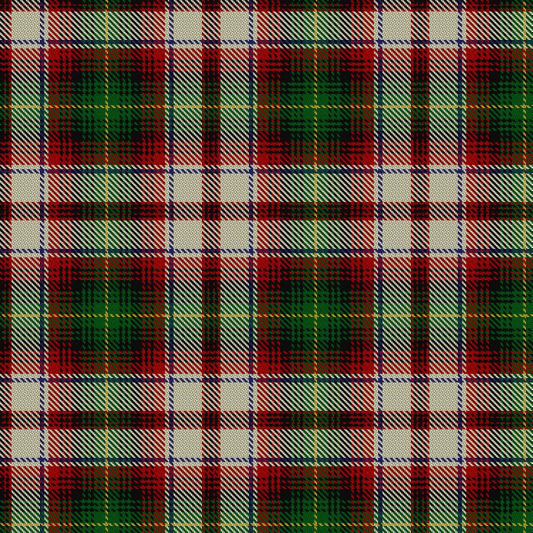 Tartan image: Princess Beatrice Dress (1880). Click on this image to see a more detailed version.