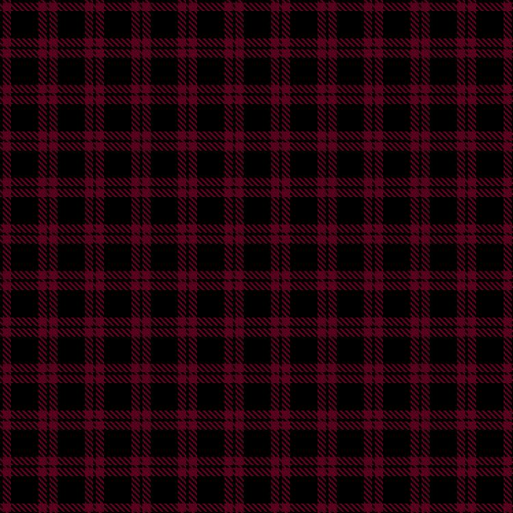 Tartan image: Red Watch. Click on this image to see a more detailed version.
