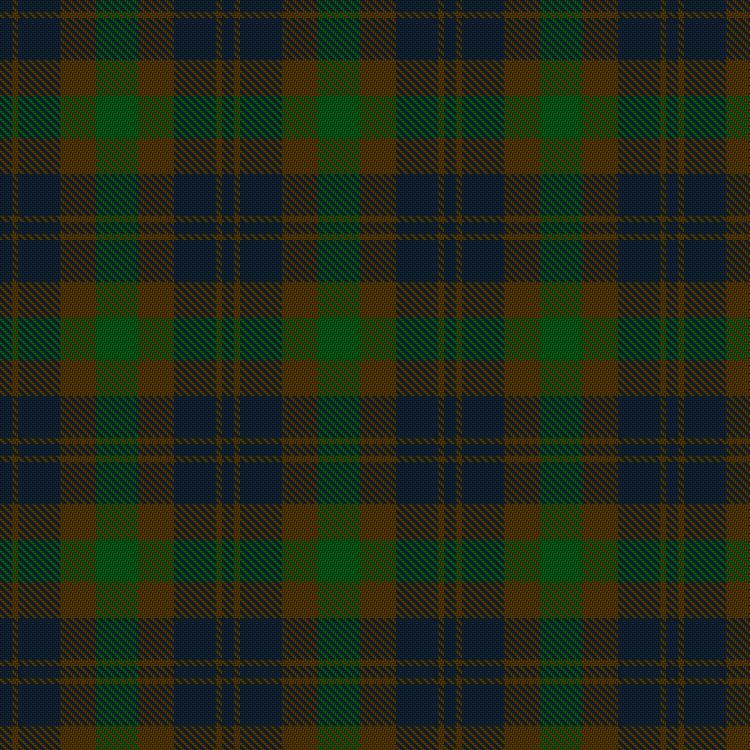 Tartan image: Bright of Garth (Personal). Click on this image to see a more detailed version.