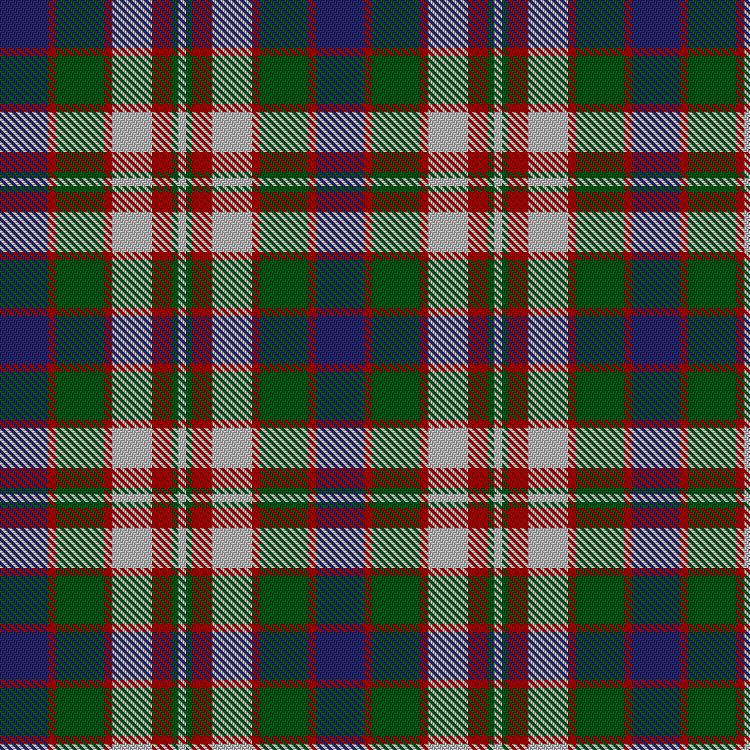 Tartan image: Robertson Dress #1. Click on this image to see a more detailed version.