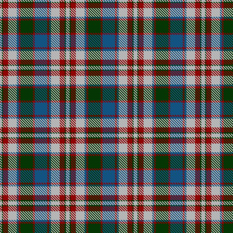Tartan image: Robertson Dress #2. Click on this image to see a more detailed version.