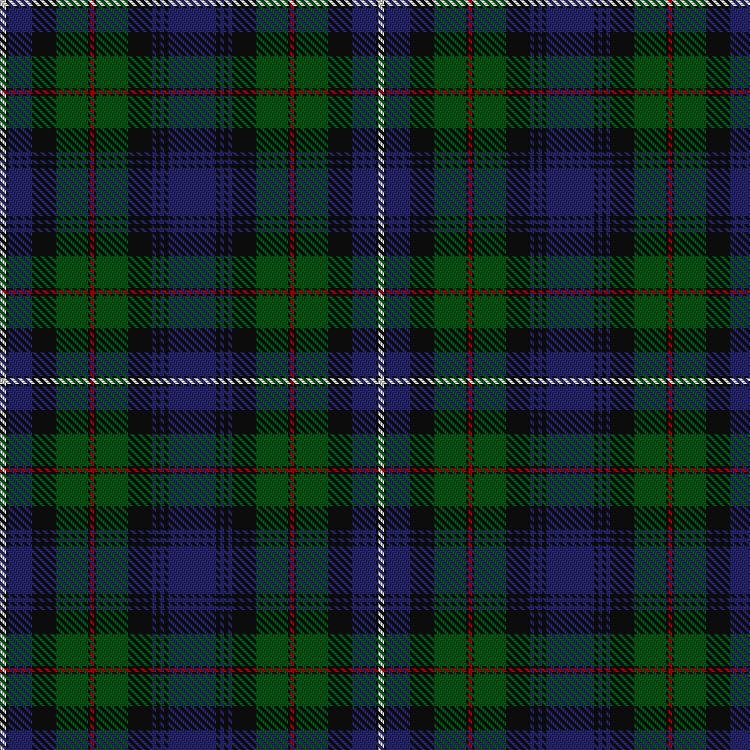 Tartan image: Robertson Hunting #1. Click on this image to see a more detailed version.
