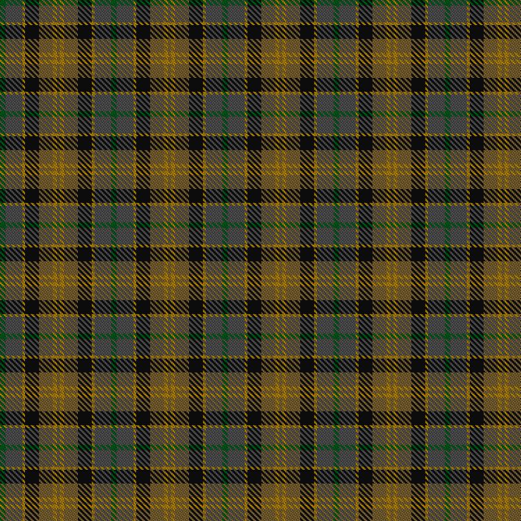Tartan image: Rothesay. Click on this image to see a more detailed version.