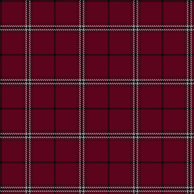 Tartan image: Salt Lake County. Click on this image to see a more detailed version.