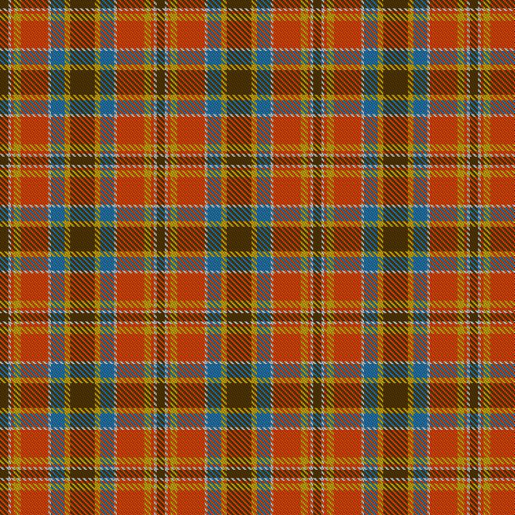 Tartan image: Satchidananda (Personal). Click on this image to see a more detailed version.