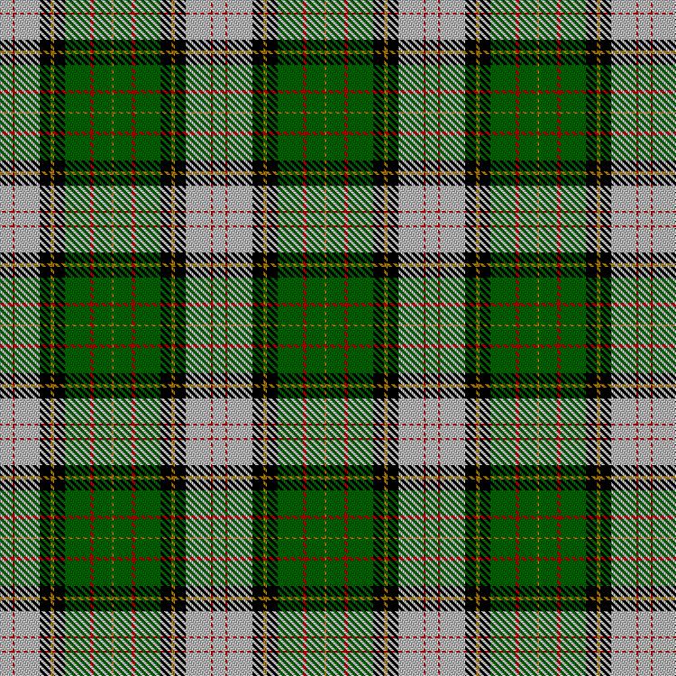 Tartan image: Spanish shirt. Click on this image to see a more detailed version.