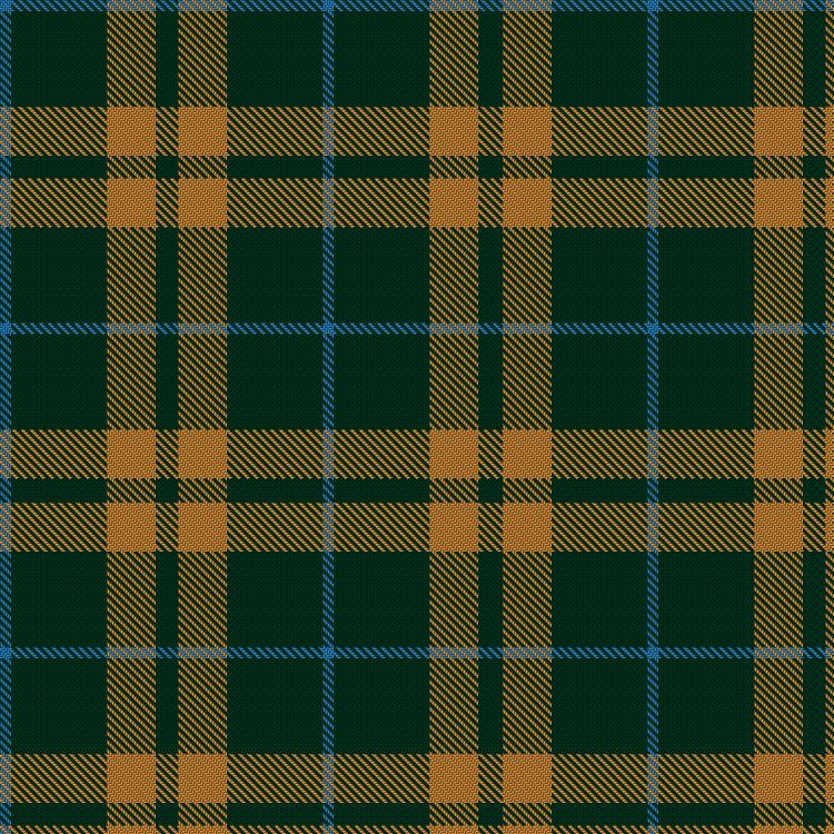 Tartan image: Special Saffron. Click on this image to see a more detailed version.