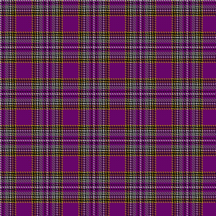 Tartan image: Stevens #4. Click on this image to see a more detailed version.