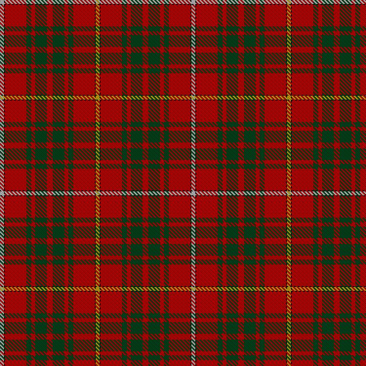 Tartan image: Bruce. Click on this image to see a more detailed version.