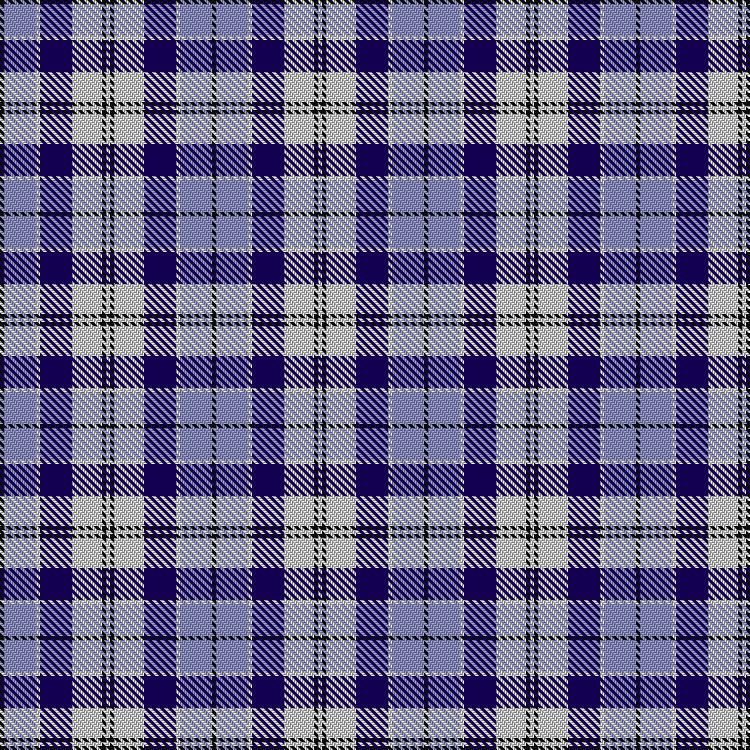 Tartan image: Strathclyde (Official). Click on this image to see a more detailed version.