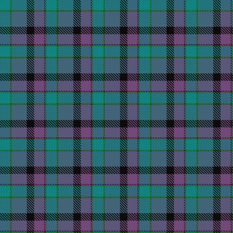 Tartan image: Thistle Stop LLC. Click on this image to see a more detailed version.