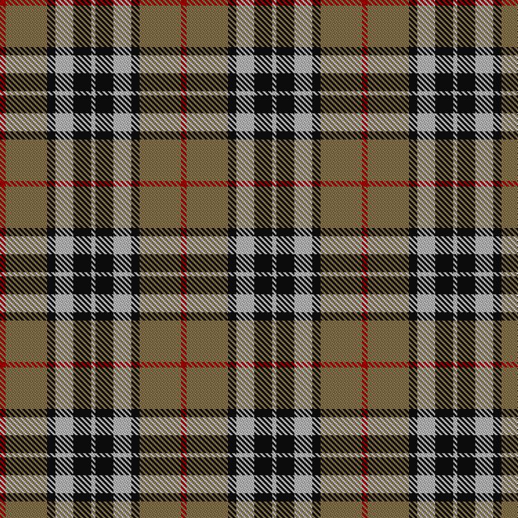 Tartan image: Thomson Camel. Click on this image to see a more detailed version.