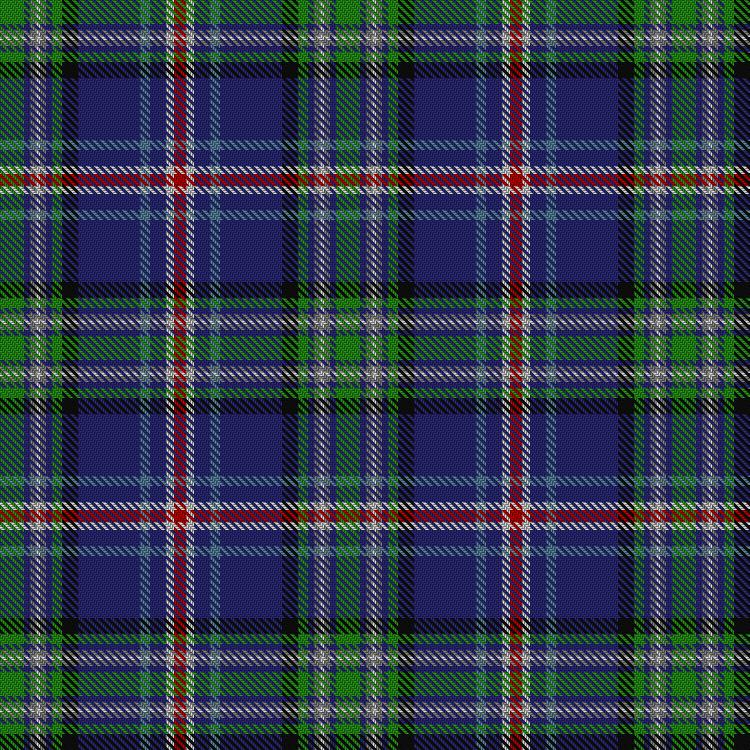 Tartan image: Twenty First Century. Click on this image to see a more detailed version.