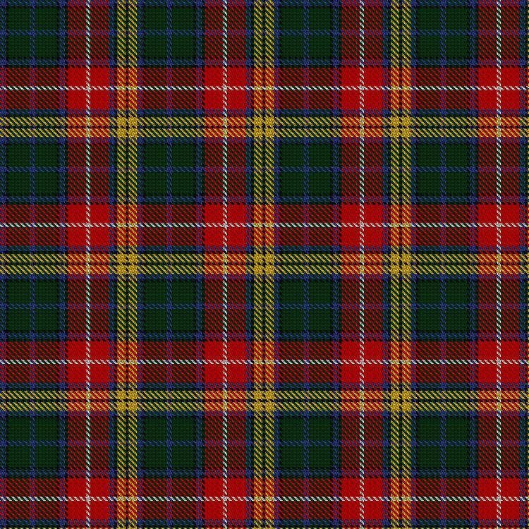 Tartan image: Buchanan 1907 (Official). Click on this image to see a more detailed version.