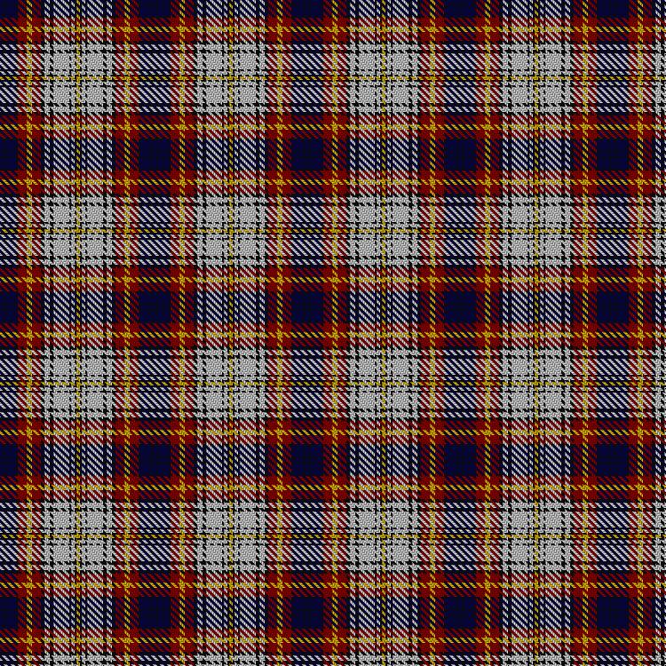 Tartan image: Unidentified #11. Click on this image to see a more detailed version.