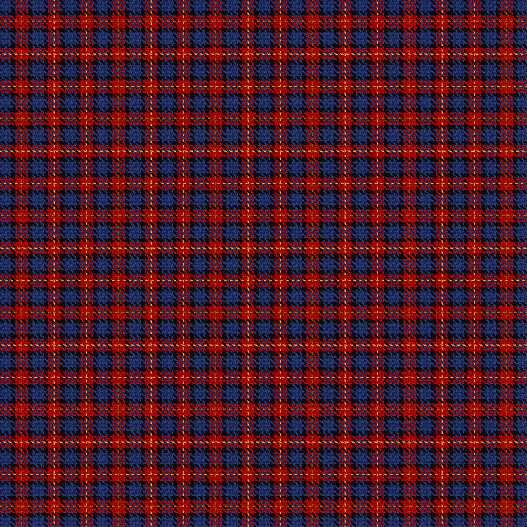 Tartan image: Unidentified #17. Click on this image to see a more detailed version.