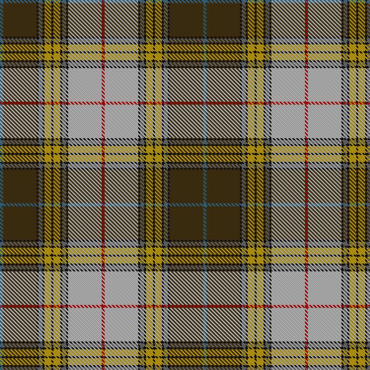 Tartan image: Buchanan Dress (Official). Click on this image to see a more detailed version.