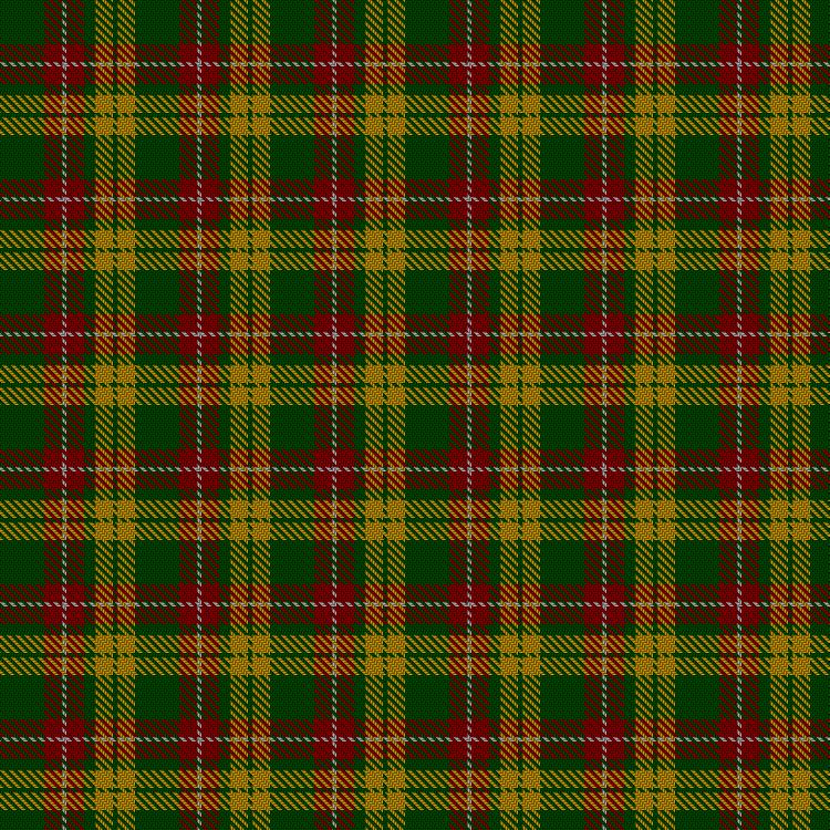 Tartan image: Unidentified #57. Click on this image to see a more detailed version.