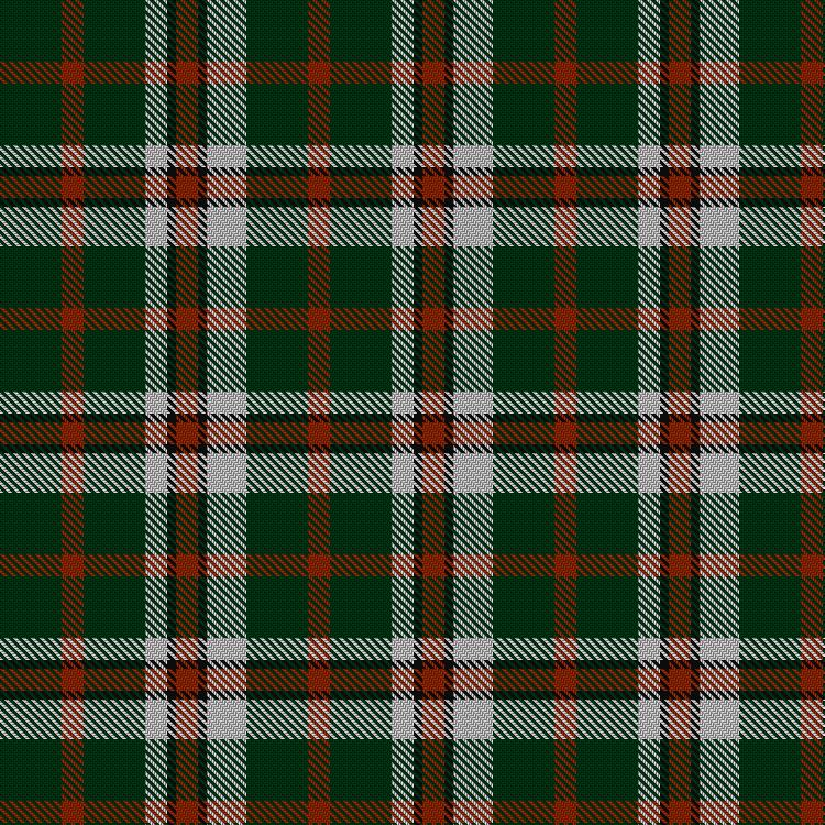 Tartan image: Unnamed C20th (Hip Flask). Click on this image to see a more detailed version.