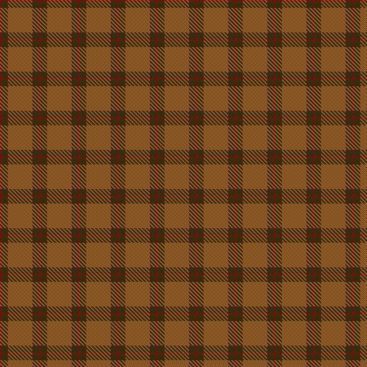 Tartan image: Unnamed C20th #1. Click on this image to see a more detailed version.