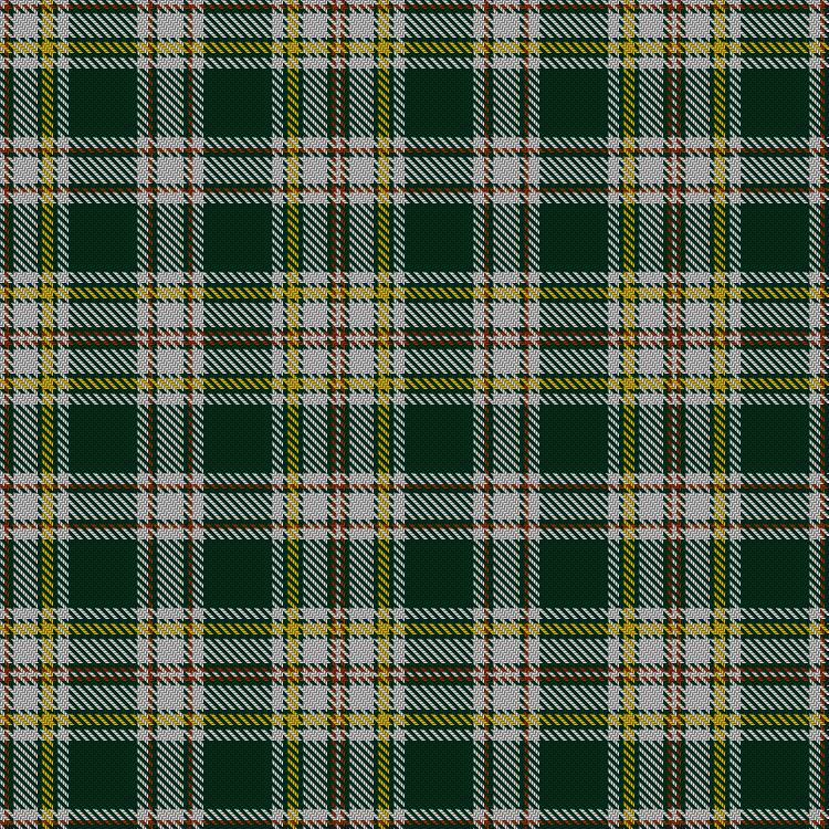 Tartan image: Veron. Click on this image to see a more detailed version.