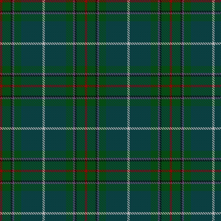 Tartan image: Vipont (White line). Click on this image to see a more detailed version.