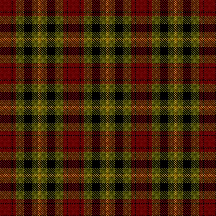 Tartan image: Wcwm 1651. Click on this image to see a more detailed version.
