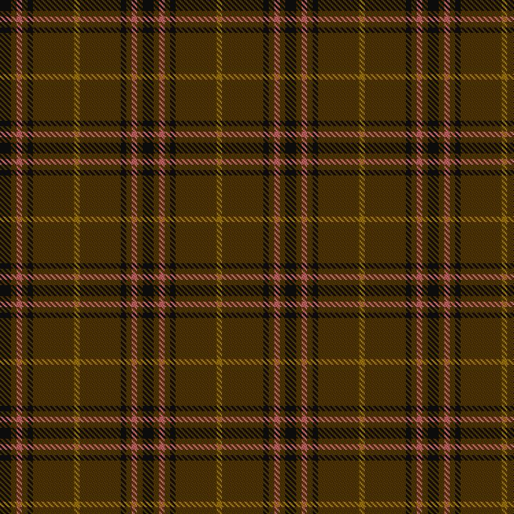Tartan image: Welsh National #2. Click on this image to see a more detailed version.