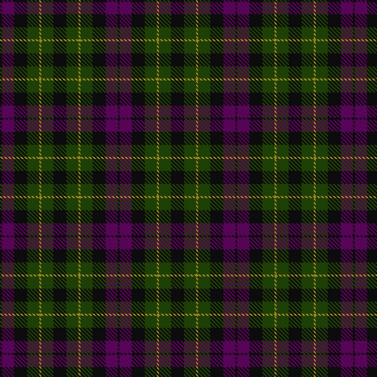 Tartan image: Wilsons' No.064. Click on this image to see a more detailed version.