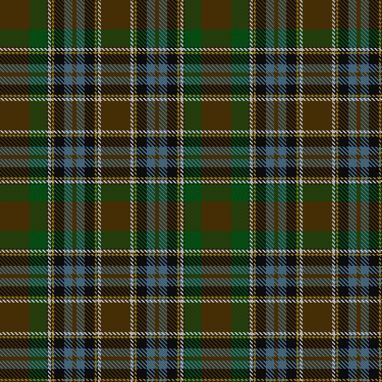 Tartan image: Wilsons' No.171. Click on this image to see a more detailed version.