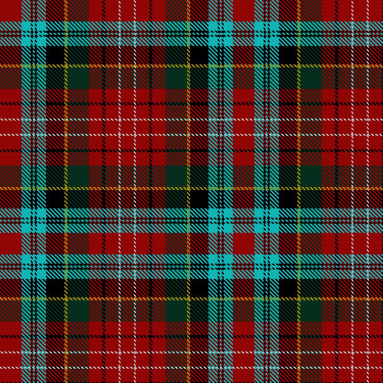 Tartan image: Caledonian Cameron Commando. Click on this image to see a more detailed version.