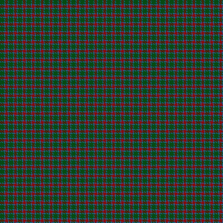 Tartan image: Wilsons' No.208. Click on this image to see a more detailed version.
