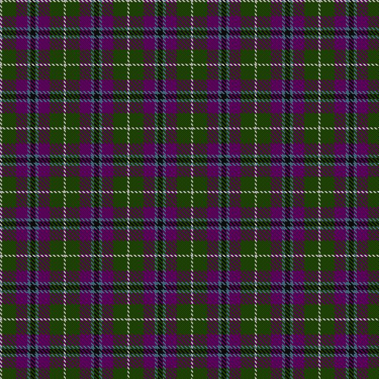 Tartan image: Wilsons' No.229. Click on this image to see a more detailed version.