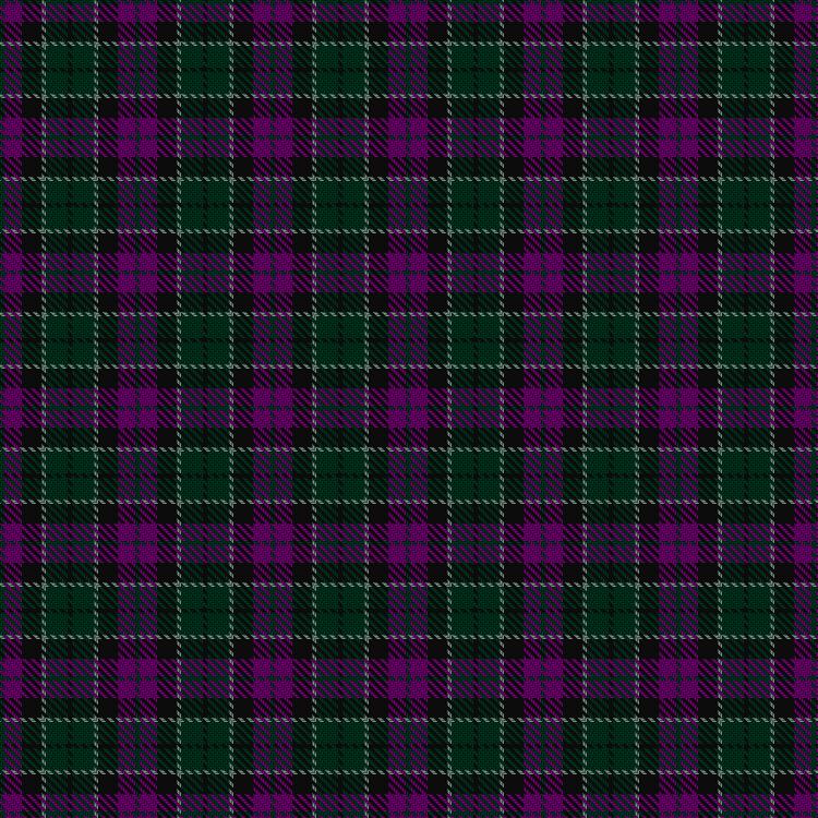 Tartan image: Wilsons' No.231. Click on this image to see a more detailed version.
